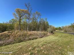 391 Thief Neck View Drive Rockwood TN 37854