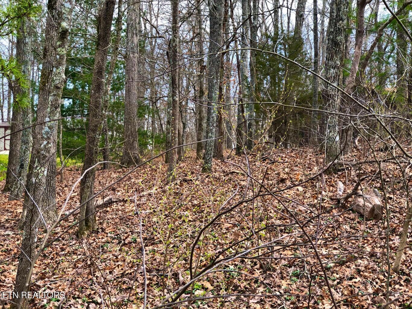 11 Oxford Circle Crossville TN 38558