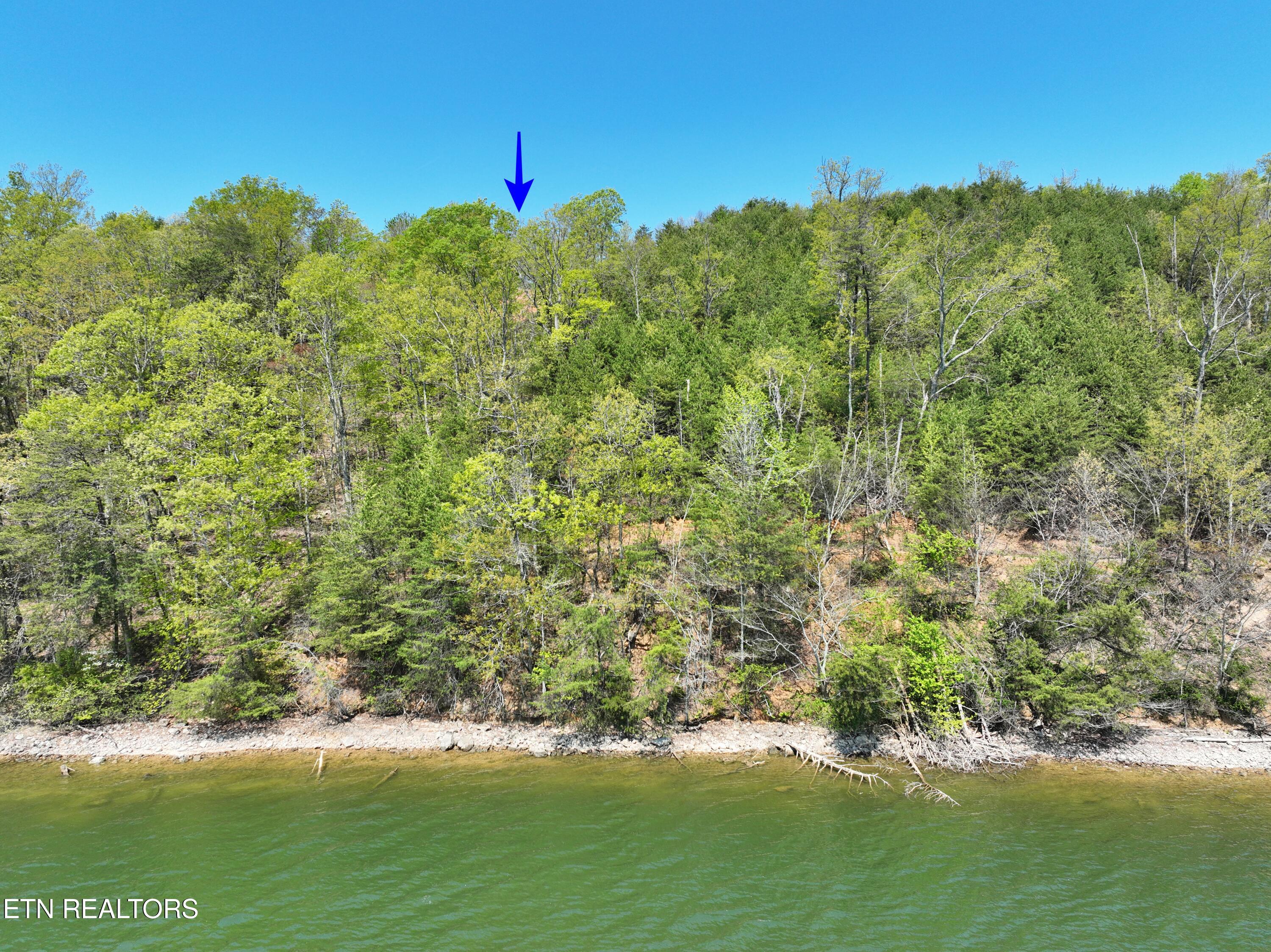 265 River Run Trail Spring City TN 37381