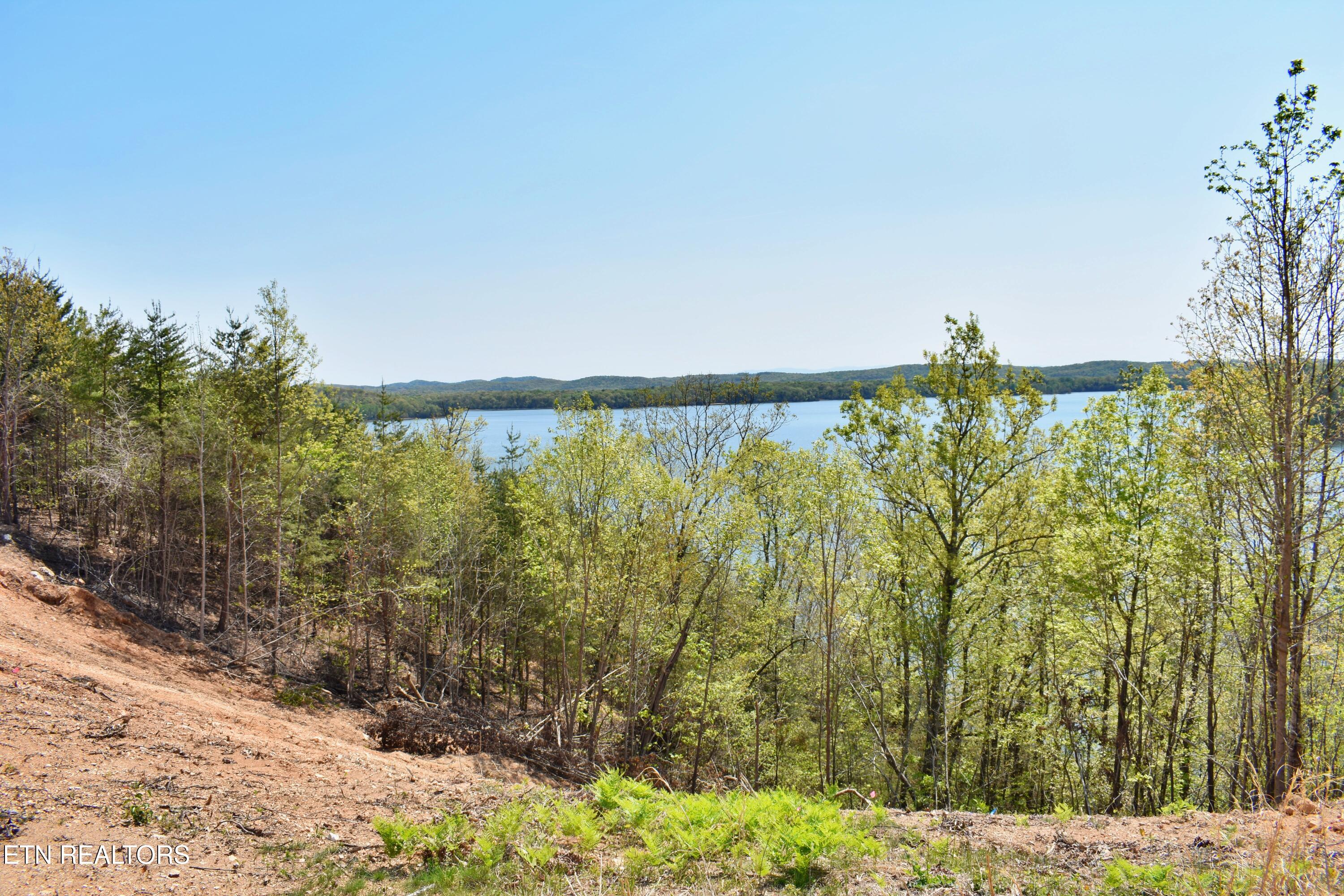265 River Run Trail Spring City TN 37381