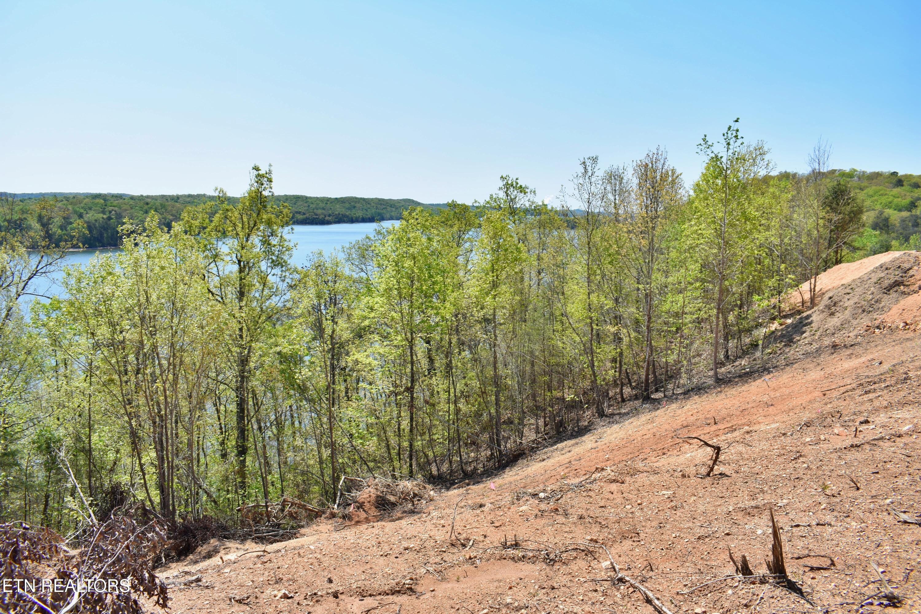 265 River Run Trail Spring City TN 37381