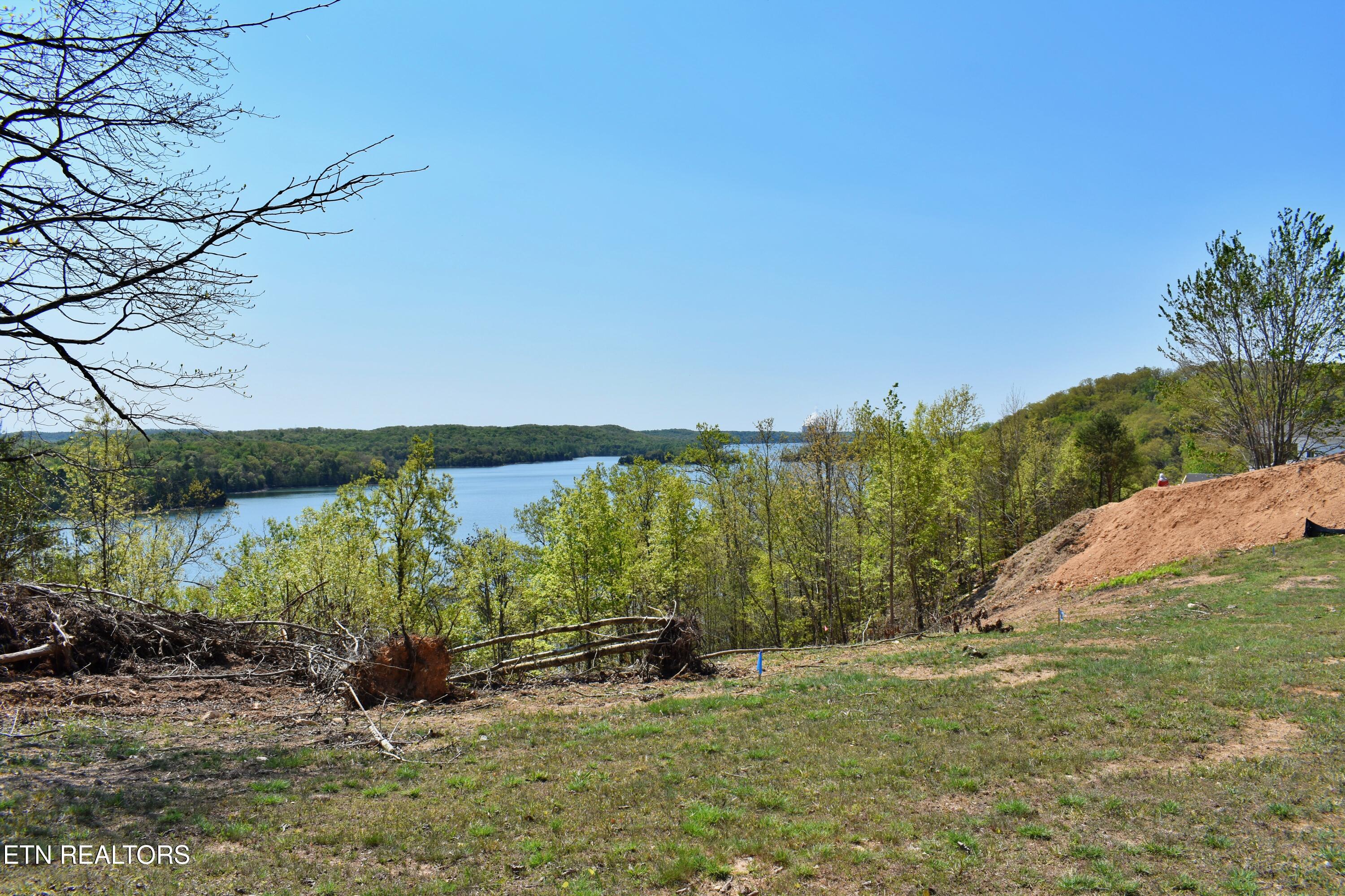 265 River Run Trail Spring City TN 37381