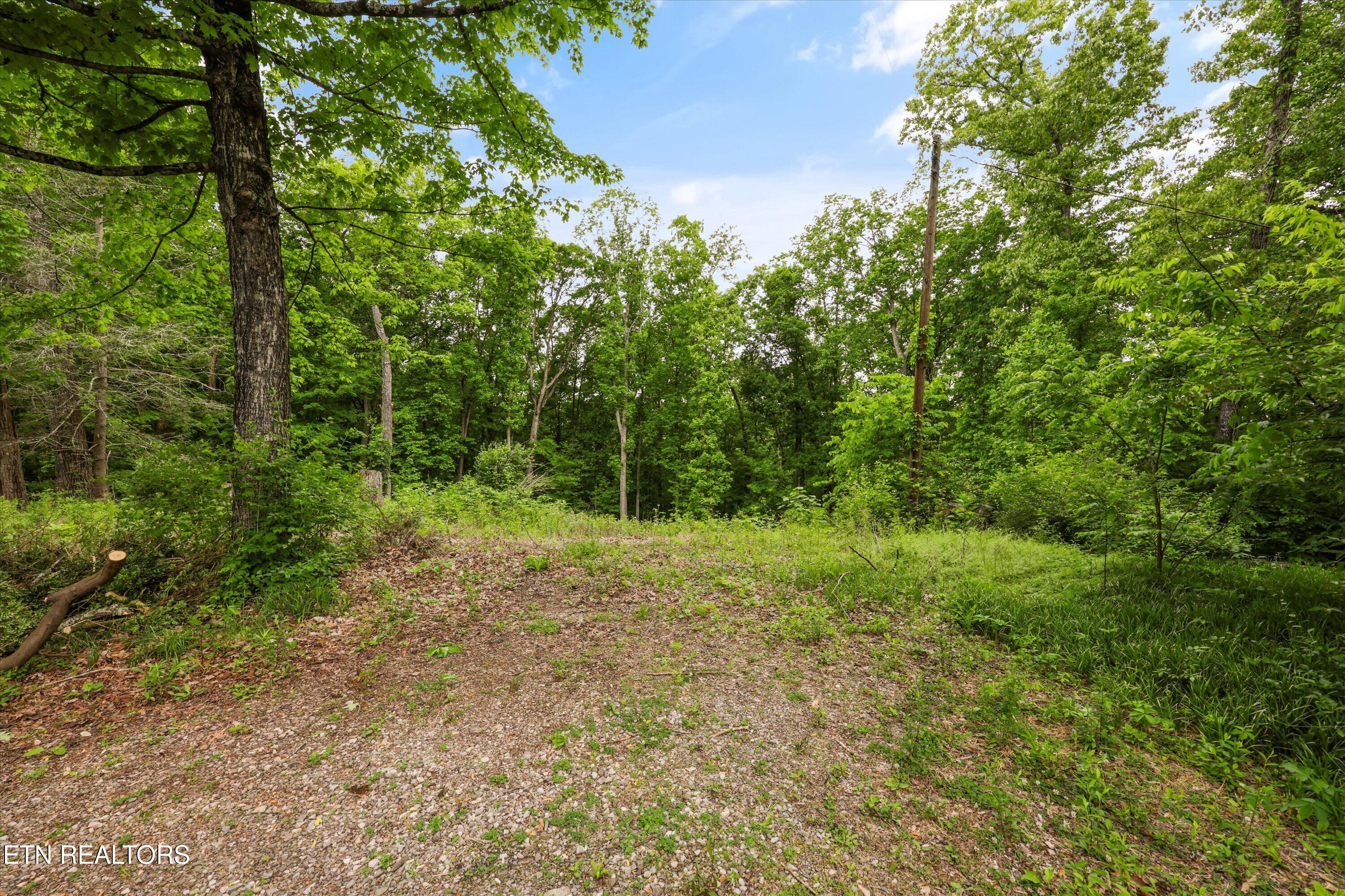 2915 Curtis Lane Knoxville TN 37918