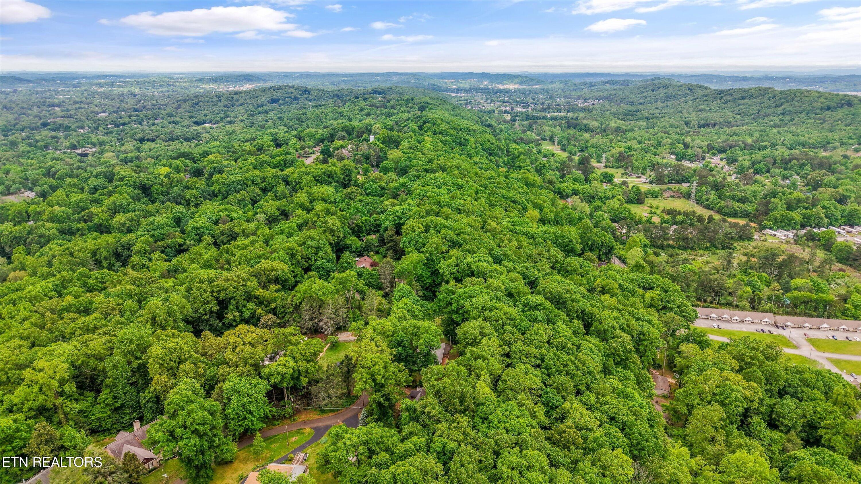 2915 Curtis Lane Knoxville TN 37918