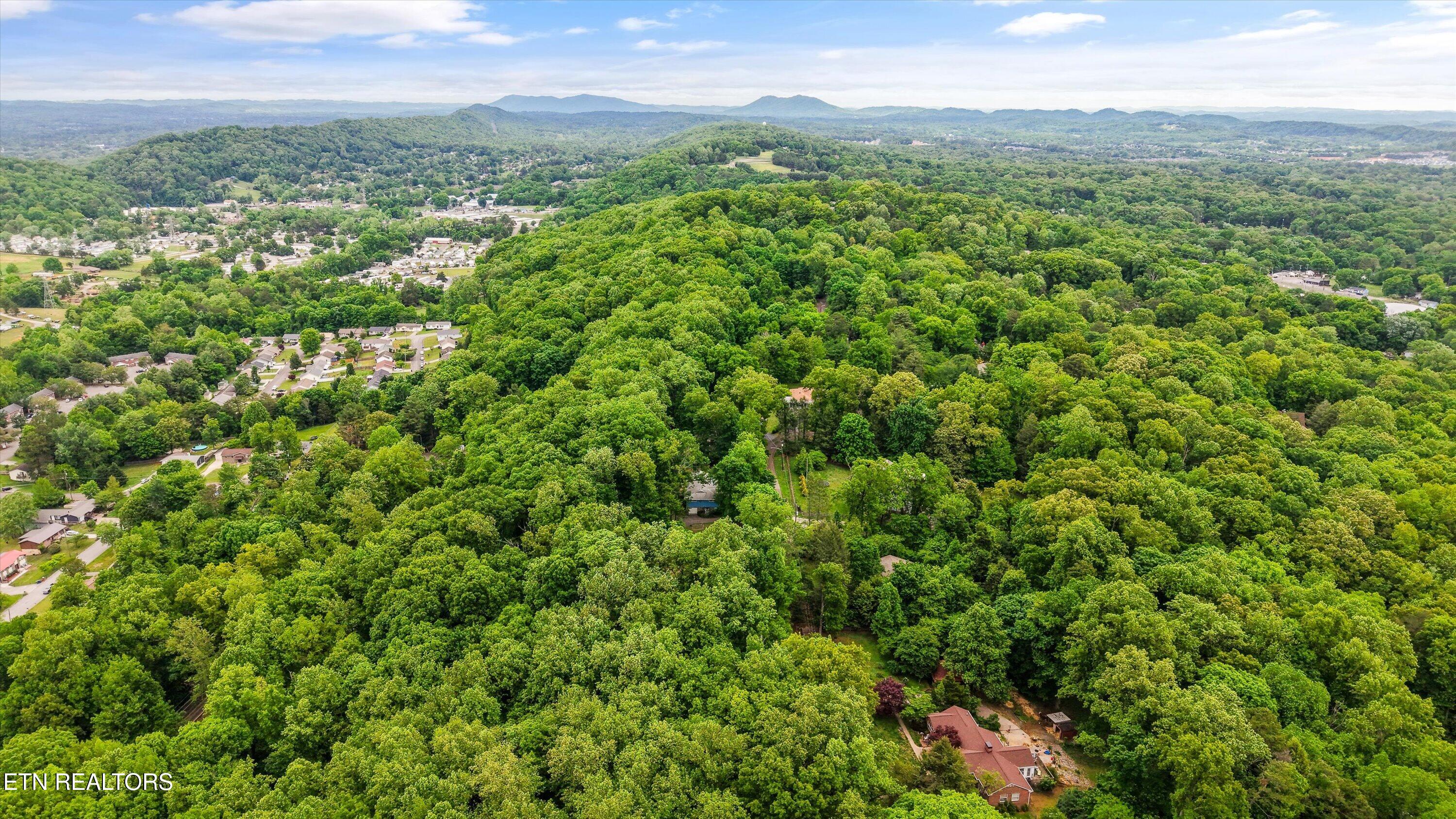 2915 Curtis Lane Knoxville TN 37918