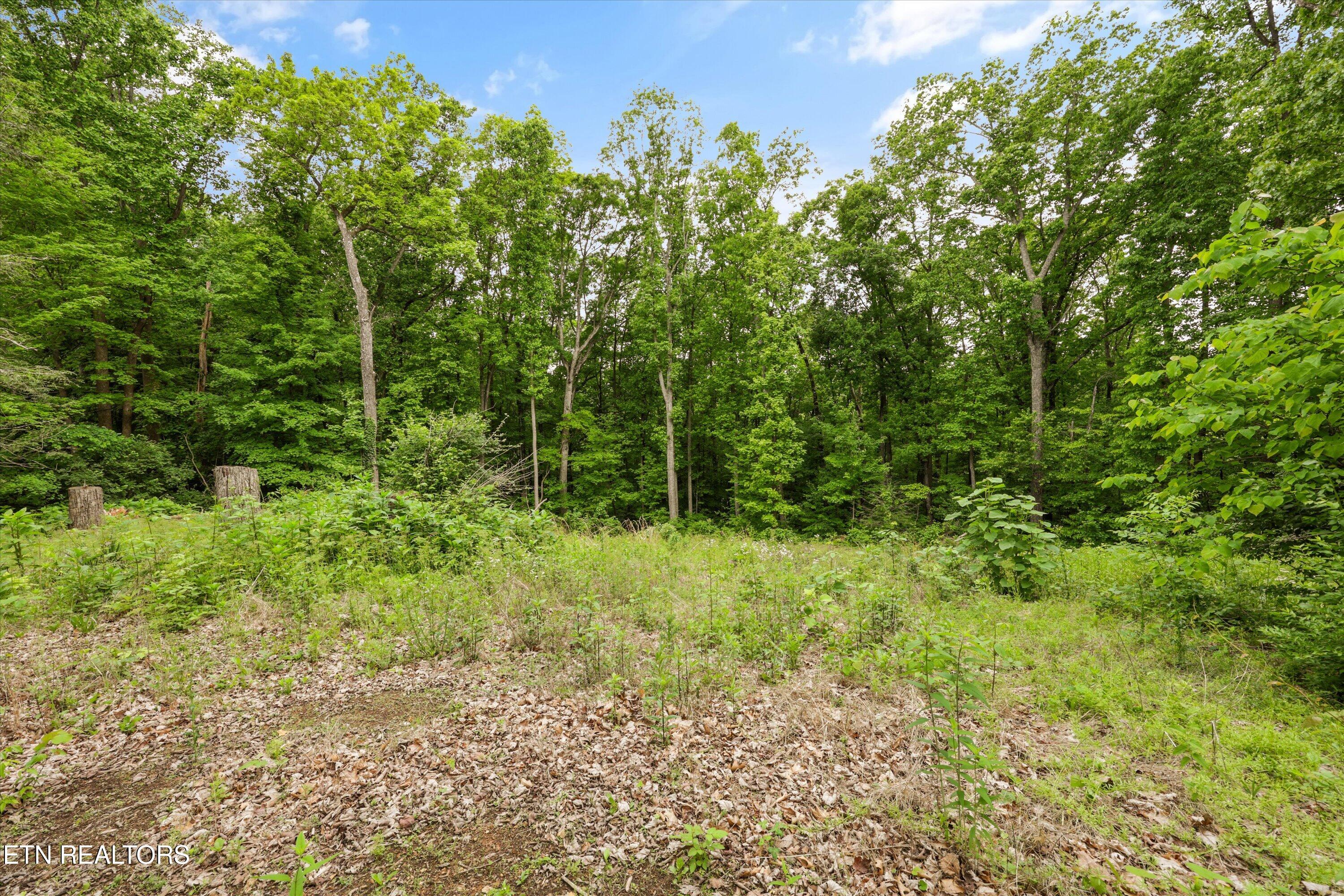 2915 Curtis Lane Knoxville TN 37918