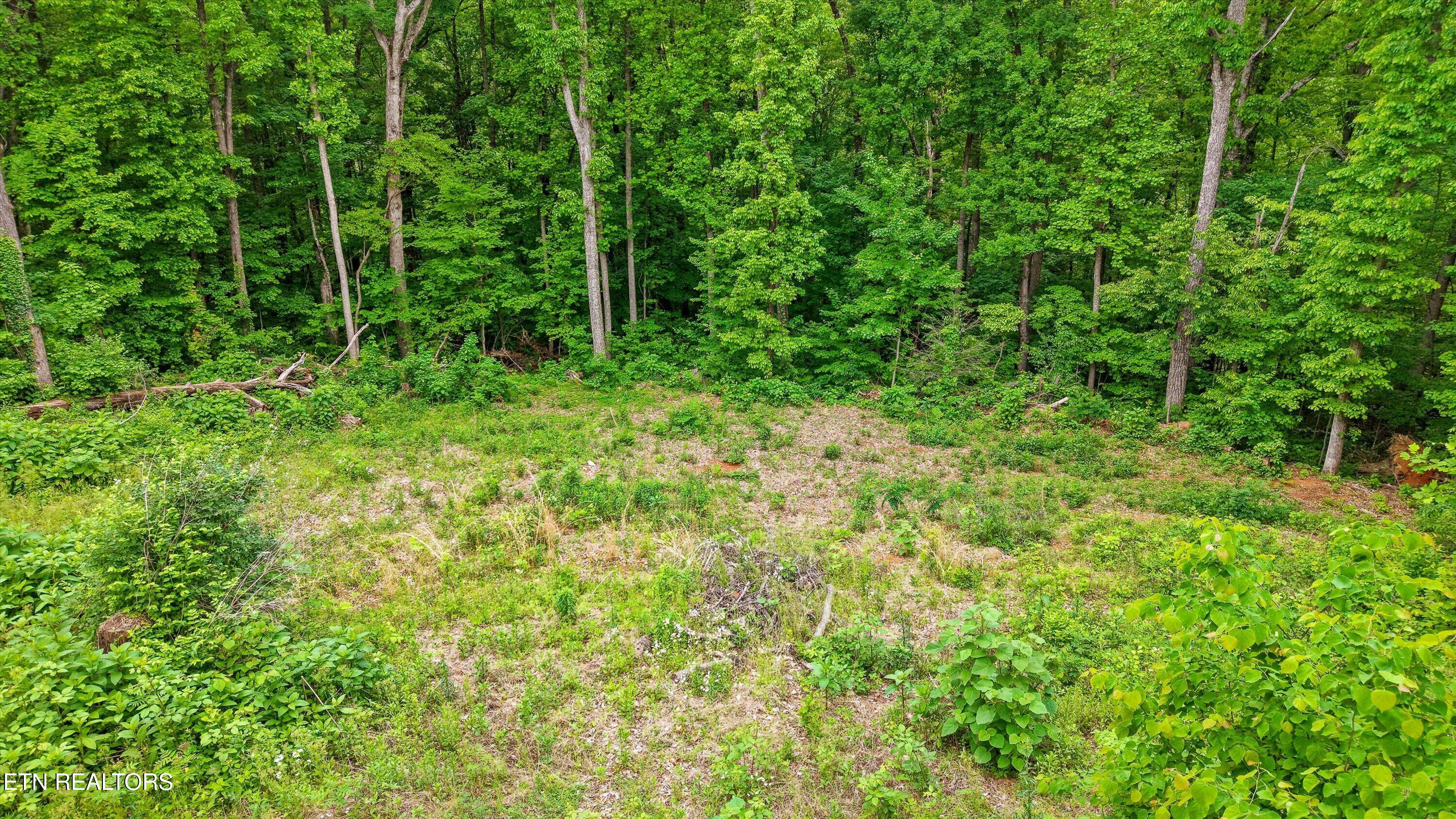 2915 Curtis Lane Knoxville TN 37918