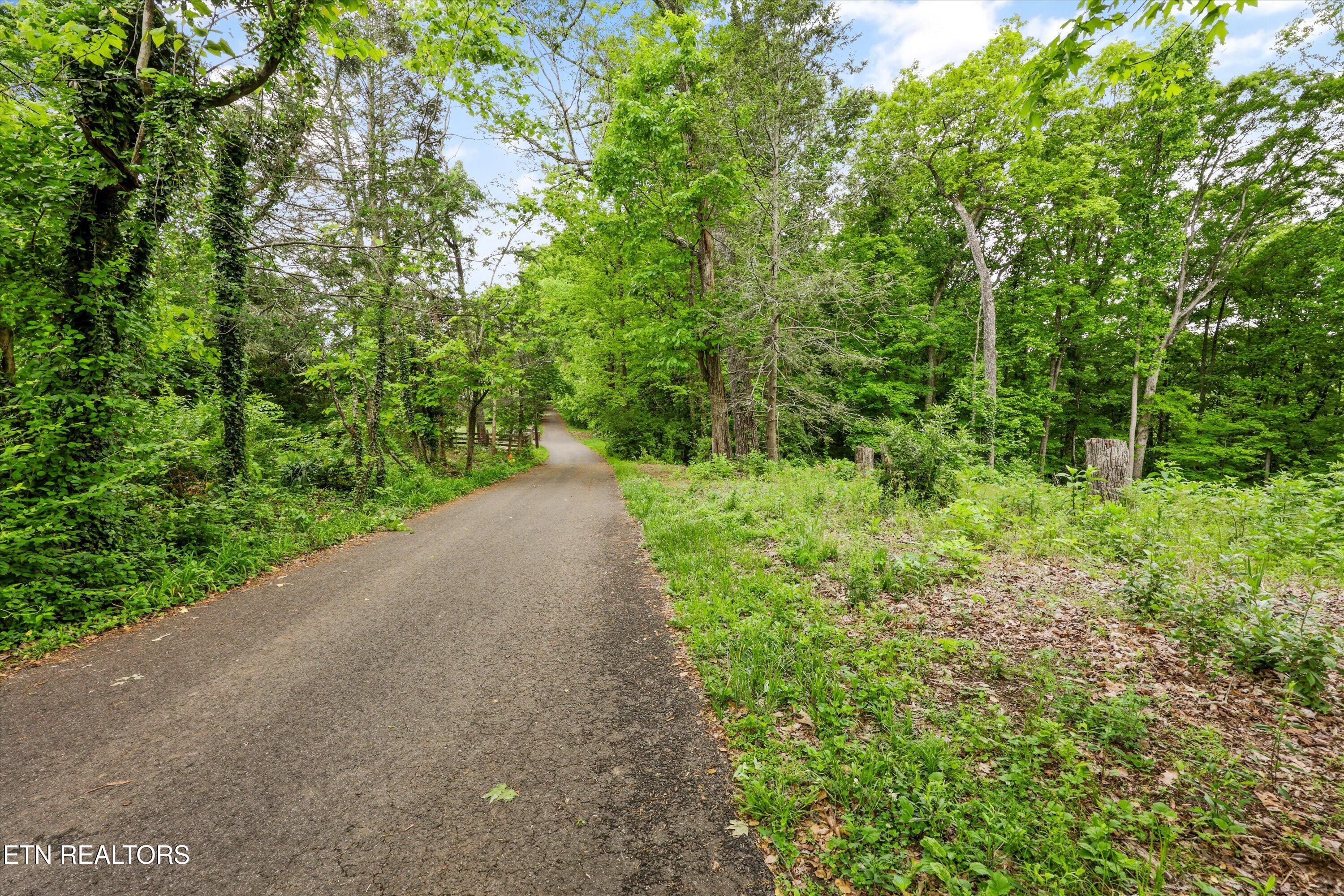 2915 Curtis Lane Knoxville TN 37918