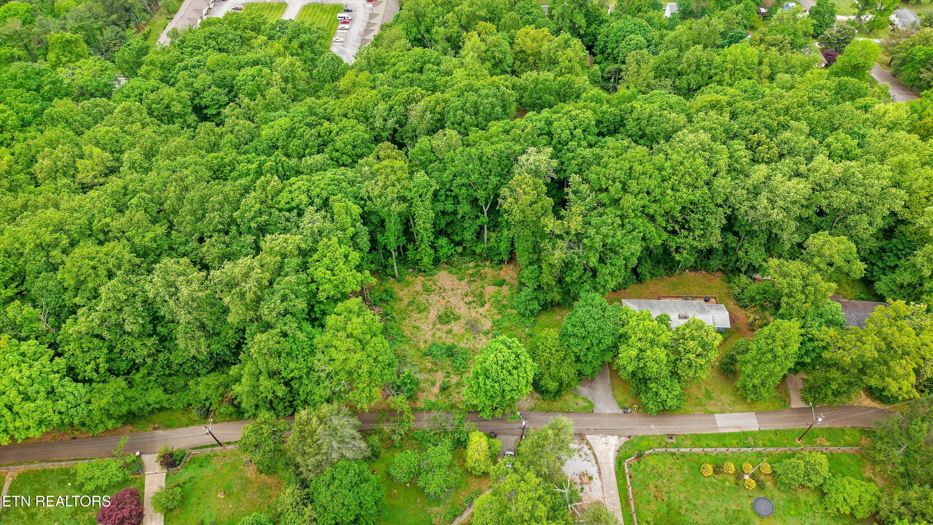 2915 Curtis Lane Knoxville TN 37918