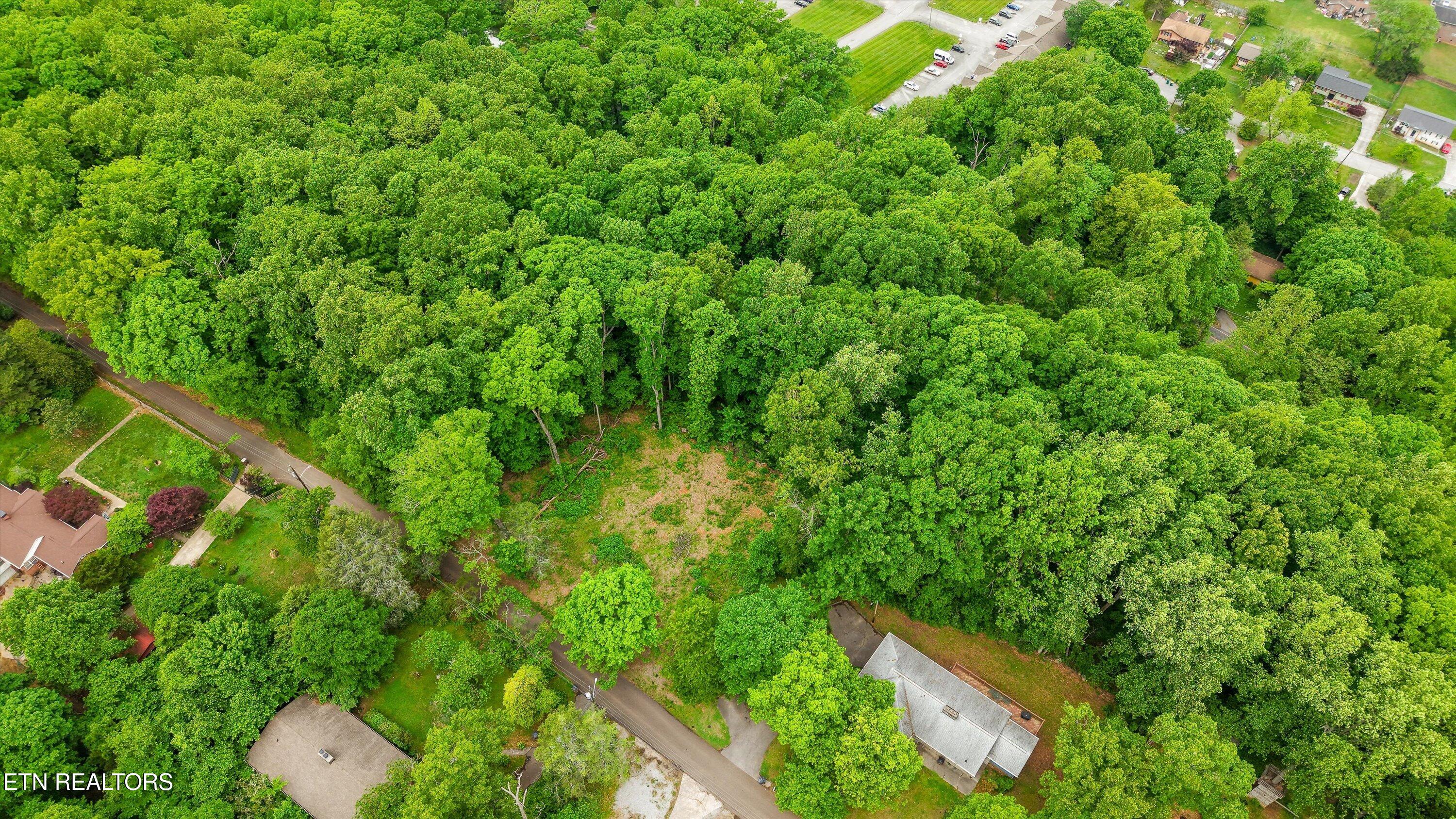 2915 Curtis Lane Knoxville TN 37918