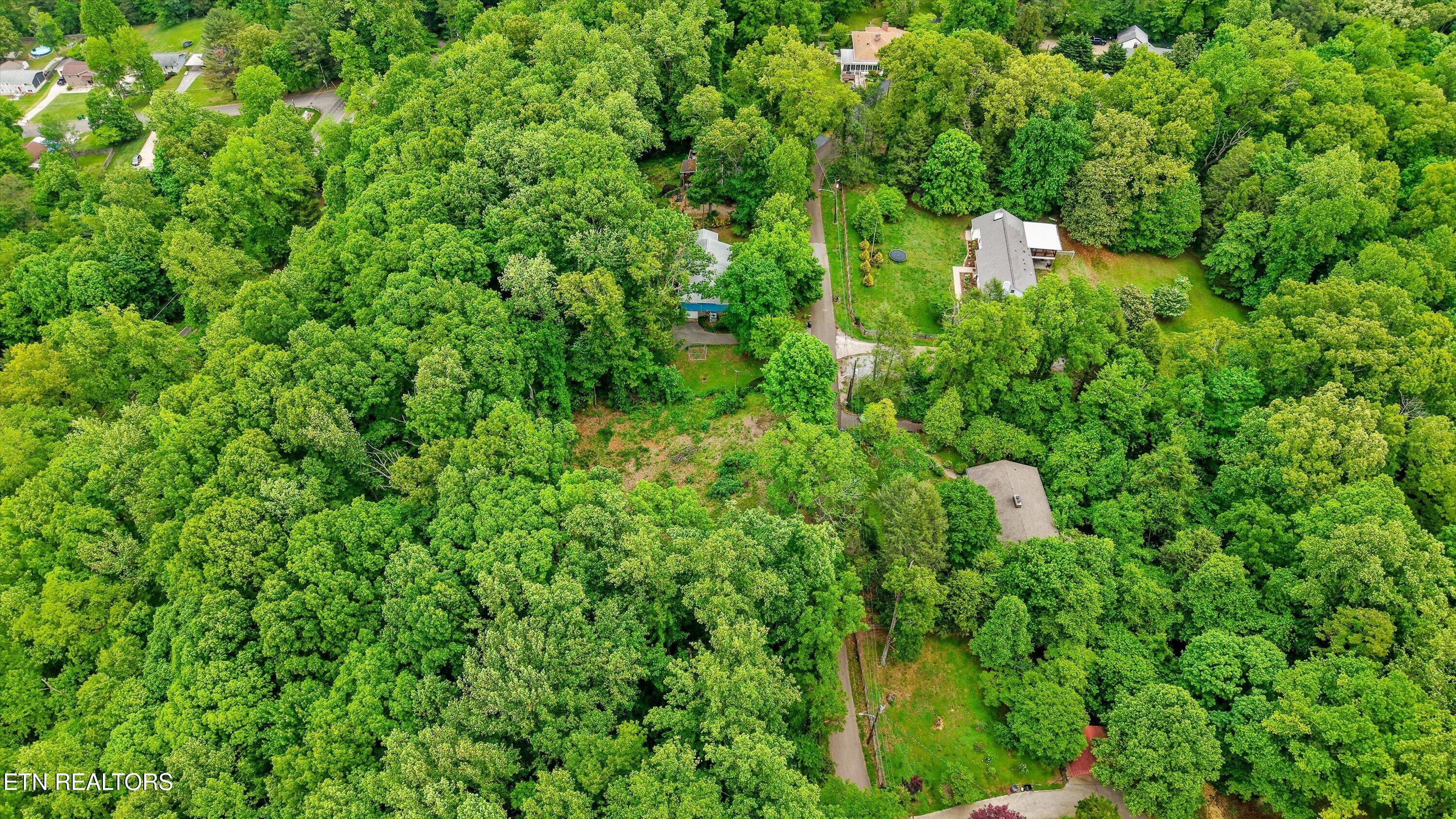 2915 Curtis Lane Knoxville TN 37918