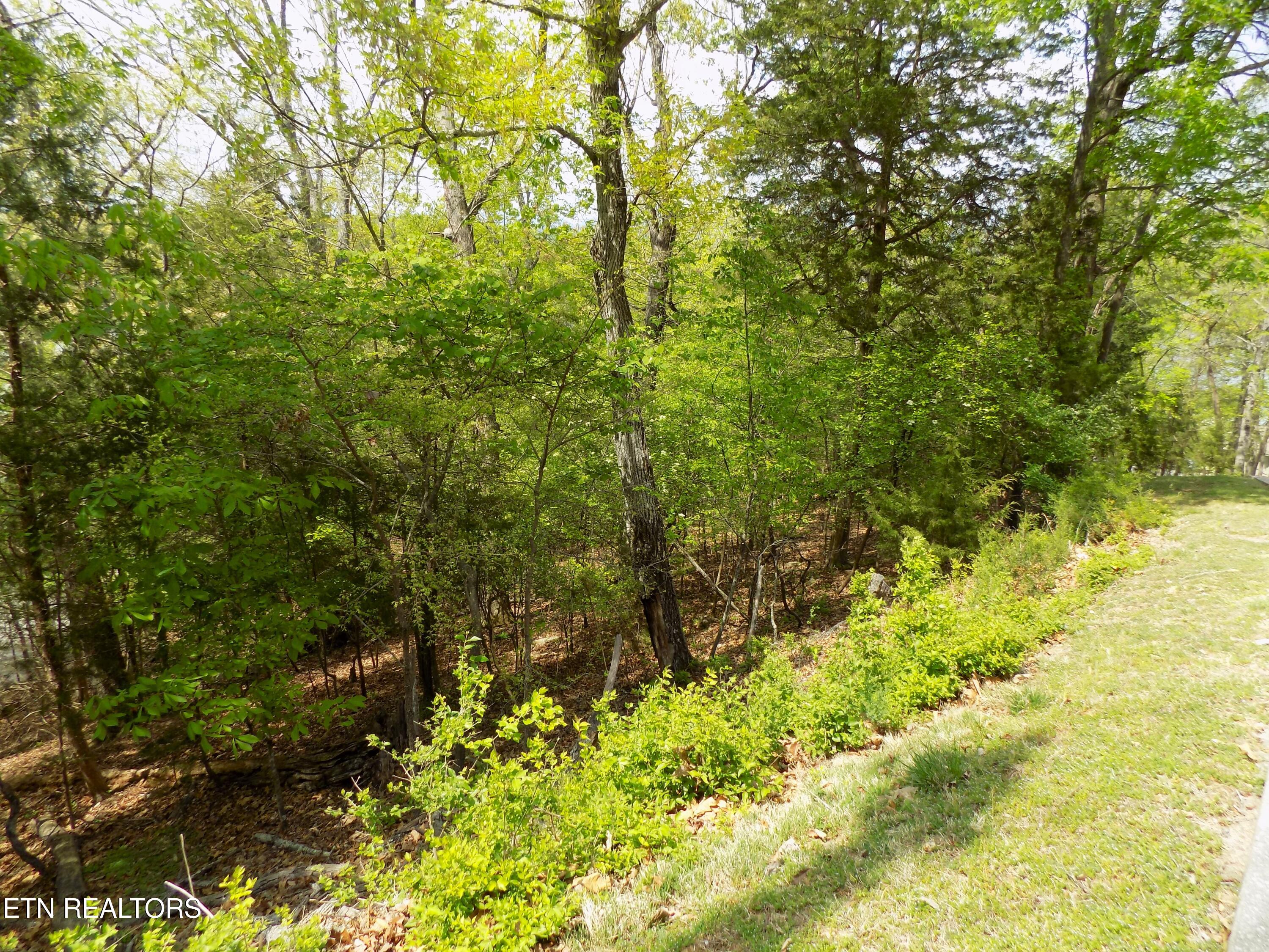 3753 Lake Point Drive Morristown TN 37814