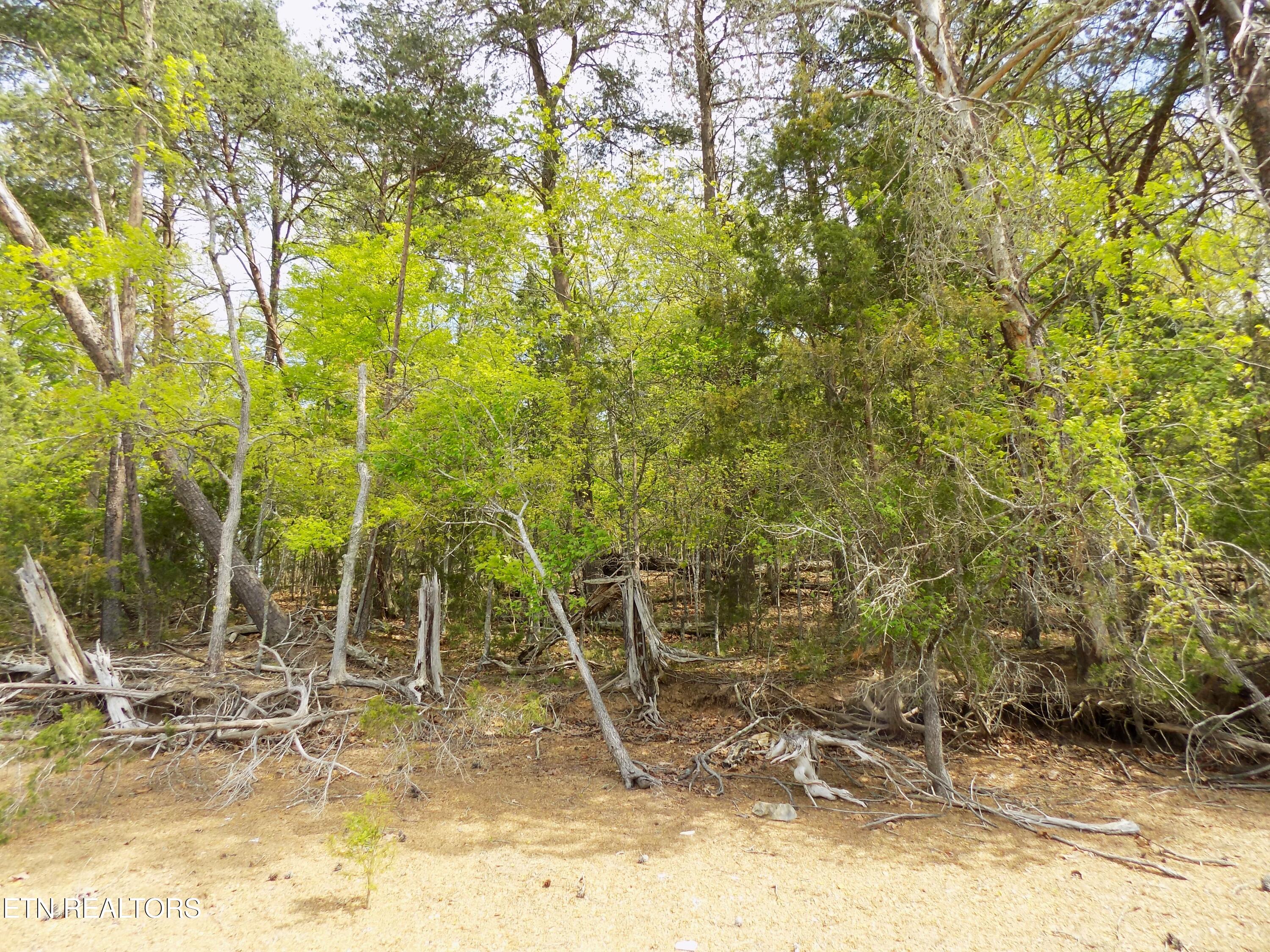 3753 Lake Point Drive Morristown TN 37814