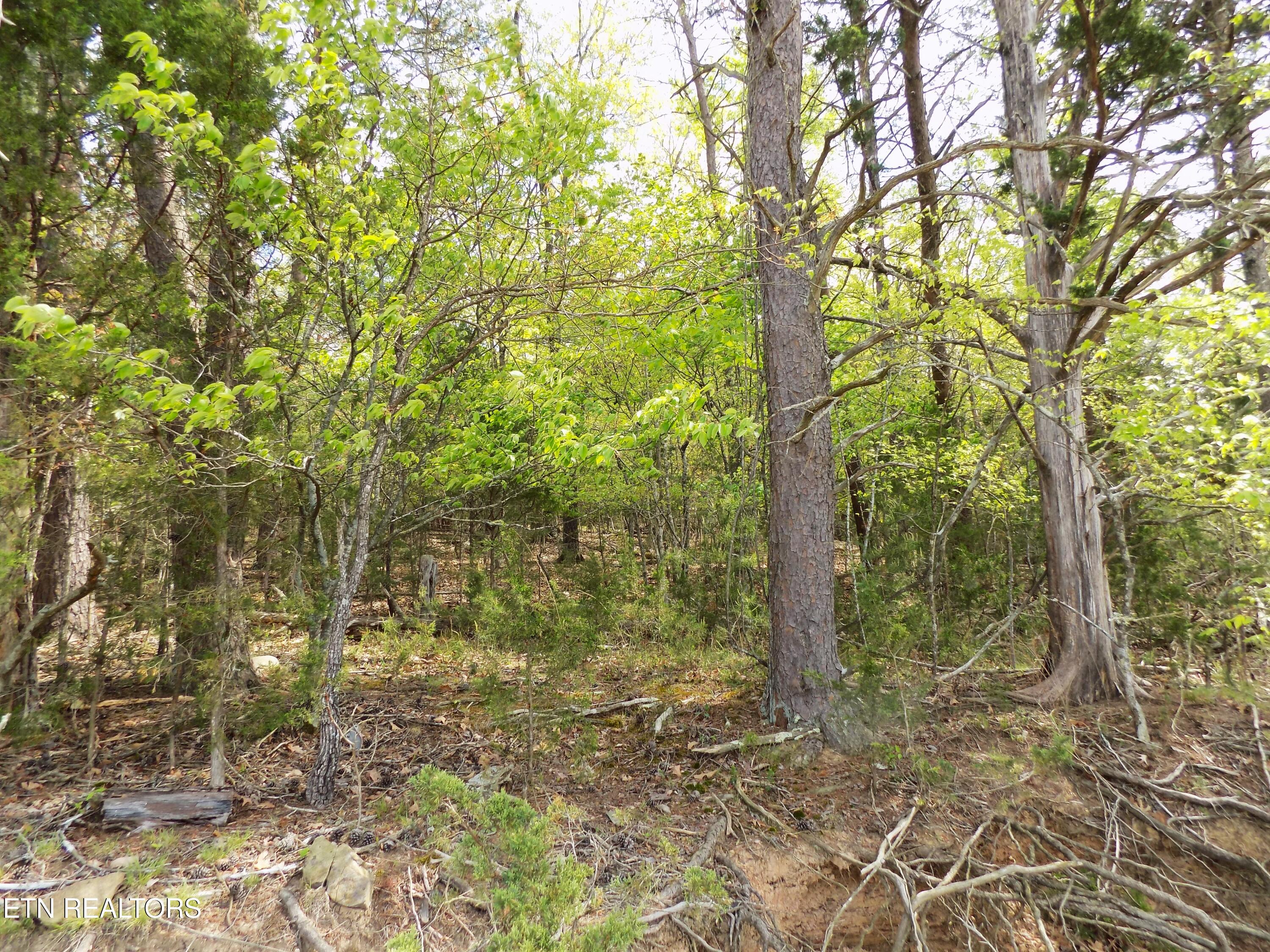 3753 Lake Point Drive Morristown TN 37814