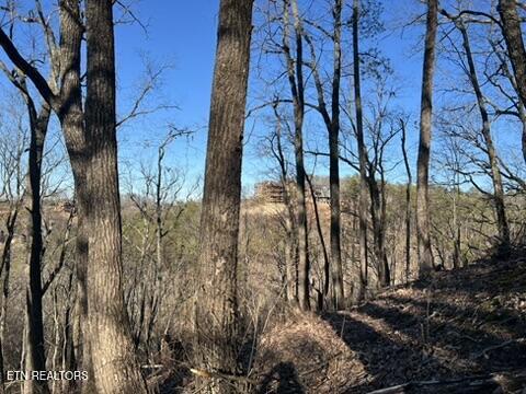 2353 Headrick Lead Sevierville TN 37862