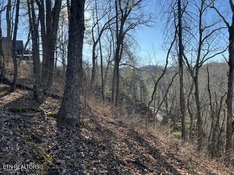 2353 Headrick Lead Sevierville TN 37862