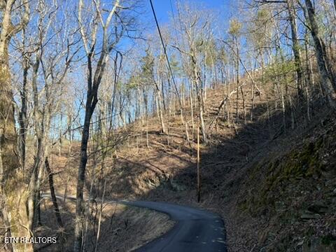 2353 Headrick Lead Sevierville TN 37862