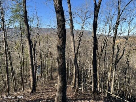 2353 Headrick Lead Sevierville TN 37862
