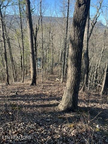 2353 Headrick Lead Sevierville TN 37862