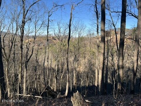 2353 Headrick Lead Sevierville TN 37862