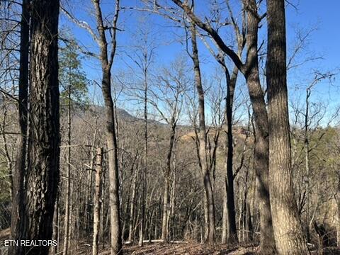 2353 Headrick Lead Sevierville TN 37862