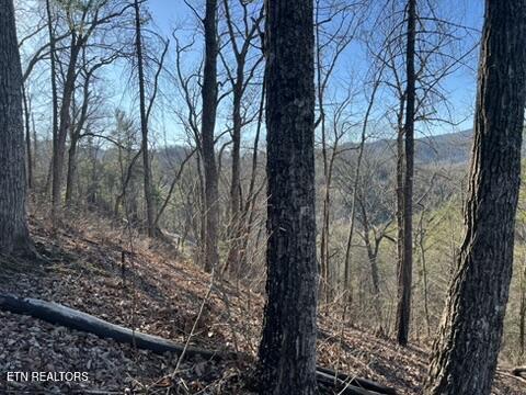 2353 Headrick Lead Sevierville TN 37862
