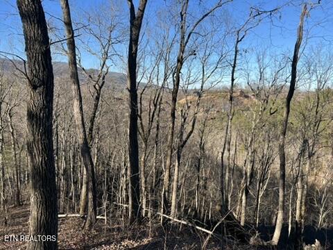 2353 Headrick Lead Sevierville TN 37862