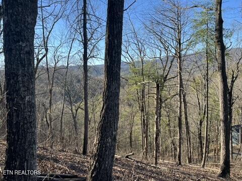 2353 Headrick Lead Sevierville TN 37862