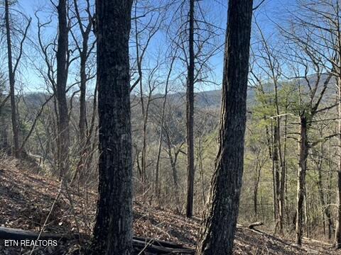 2353 Headrick Lead Sevierville TN 37862