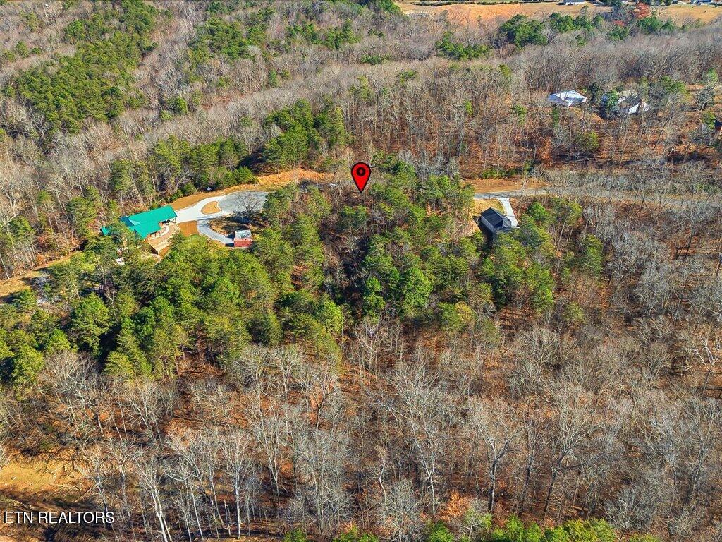 Lot 18 Cove Springs Drive Dandridge TN 37725
