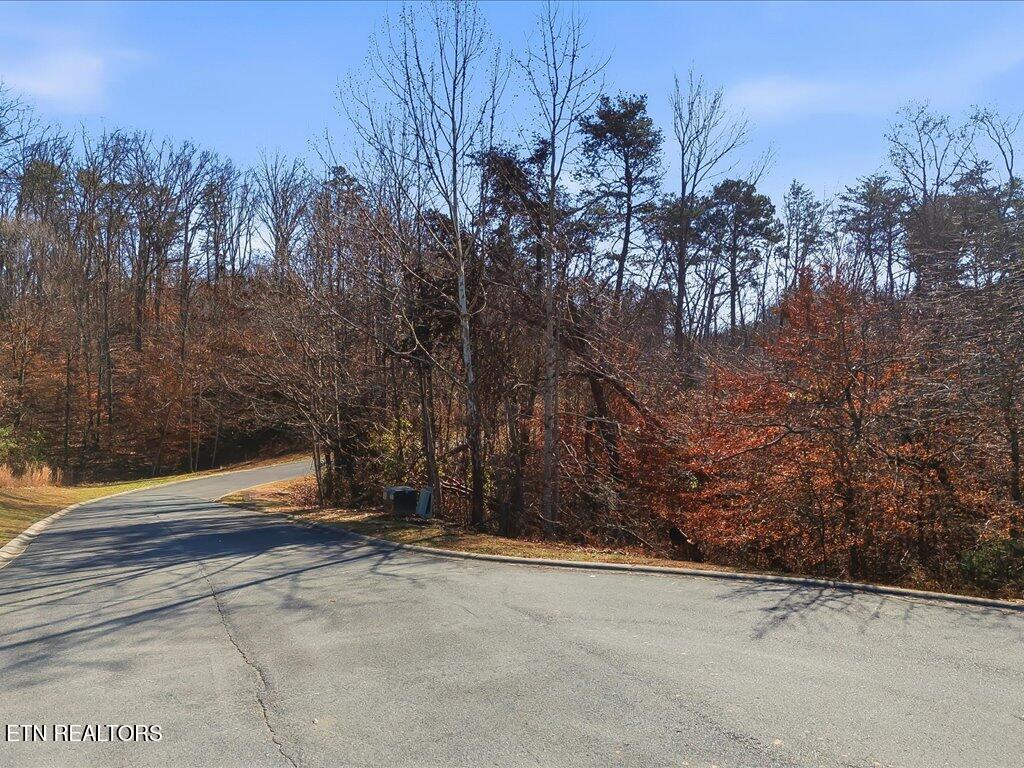 Lot 18 Cove Springs Drive Dandridge TN 37725