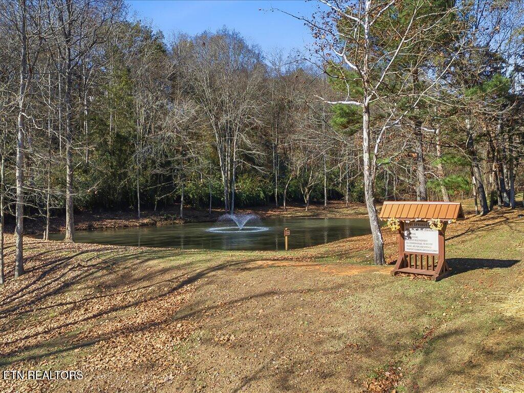 Lot 18 Cove Springs Drive Dandridge TN 37725