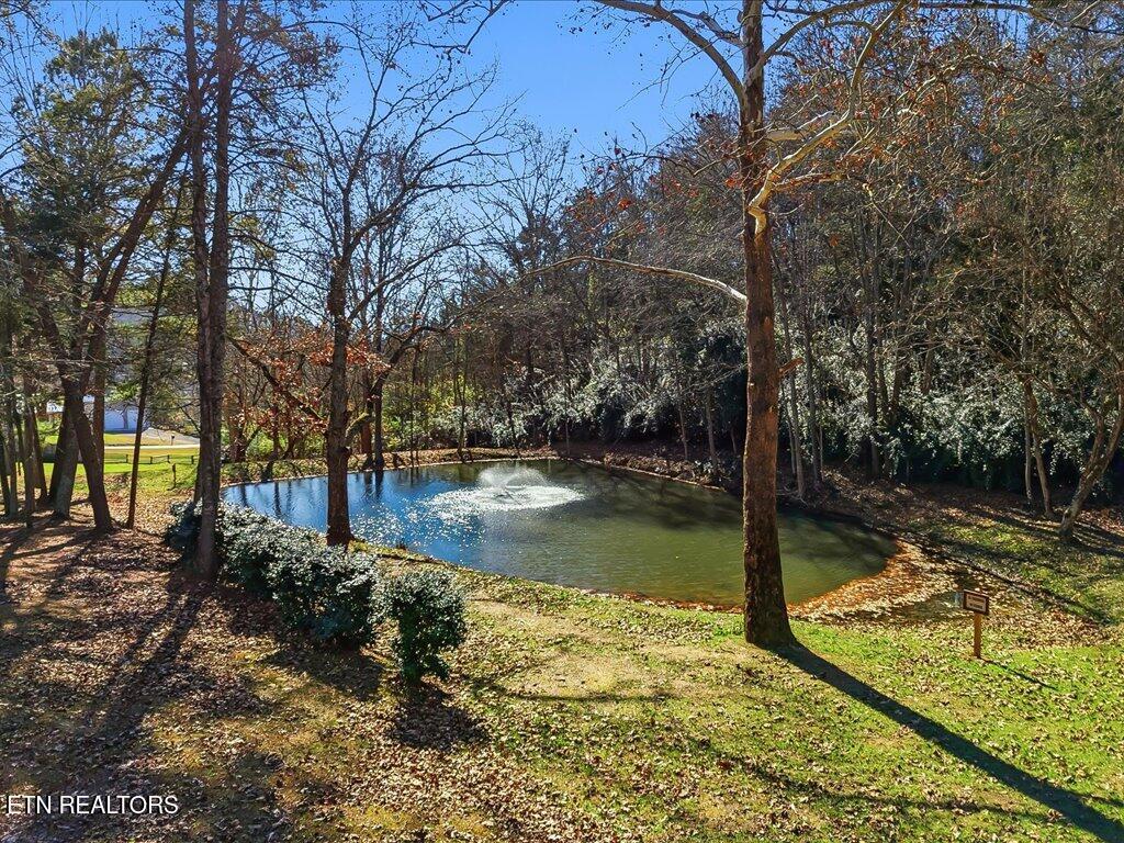 Lot 18 Cove Springs Drive Dandridge TN 37725