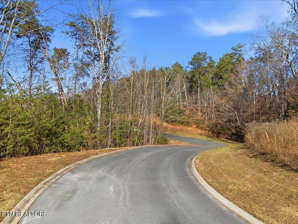 Lot 18 Cove Springs Drive Dandridge TN 37725