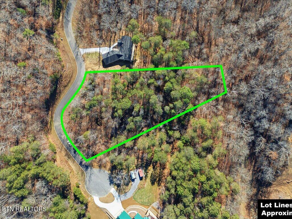 Lot 18 Cove Springs Drive Dandridge TN 37725