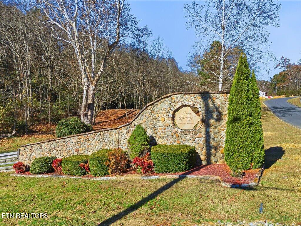 Lot 18 Cove Springs Drive Dandridge TN 37725
