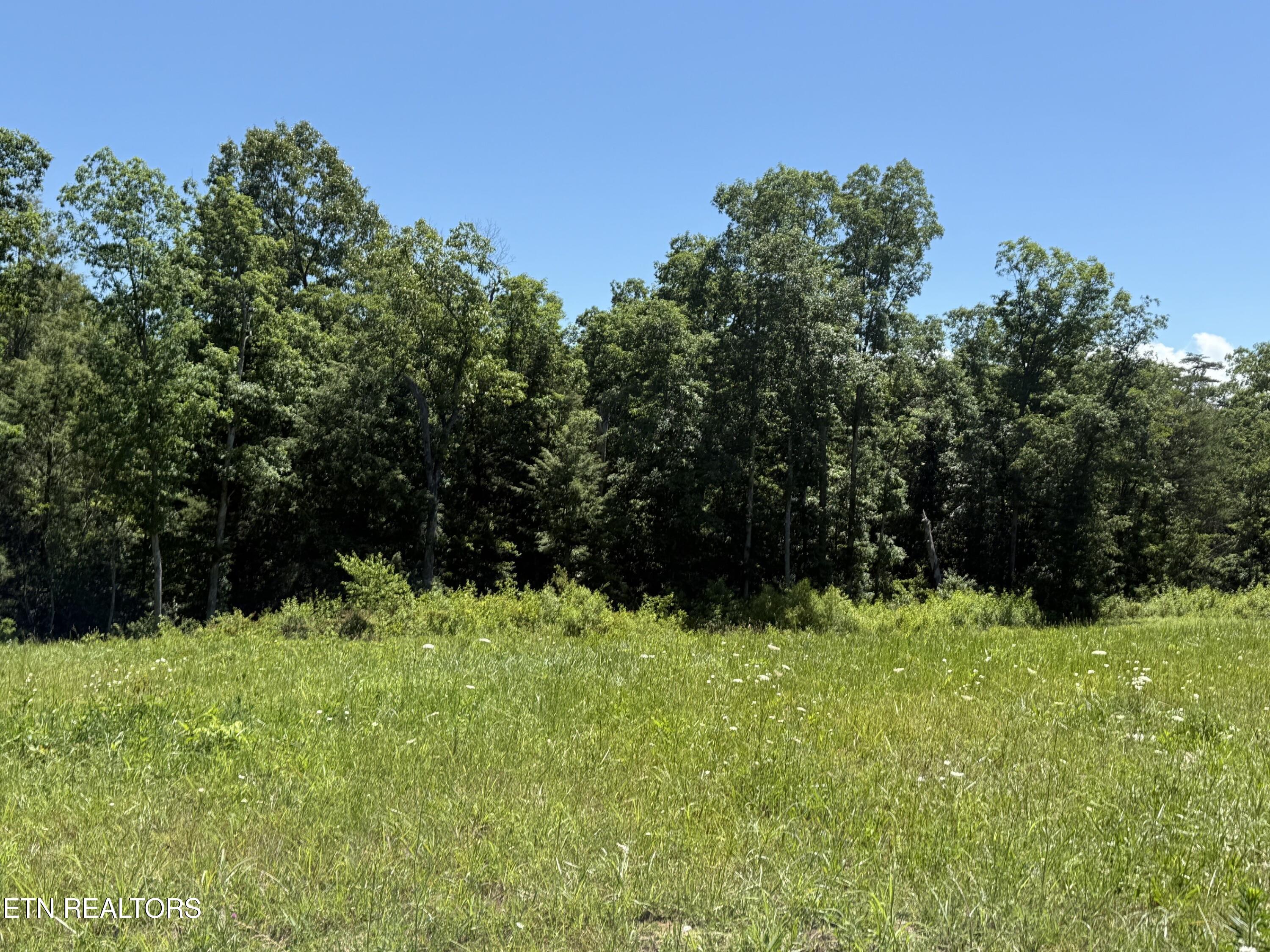 Riverview Drive - Lot 1 & 2 Crossville TN 38555