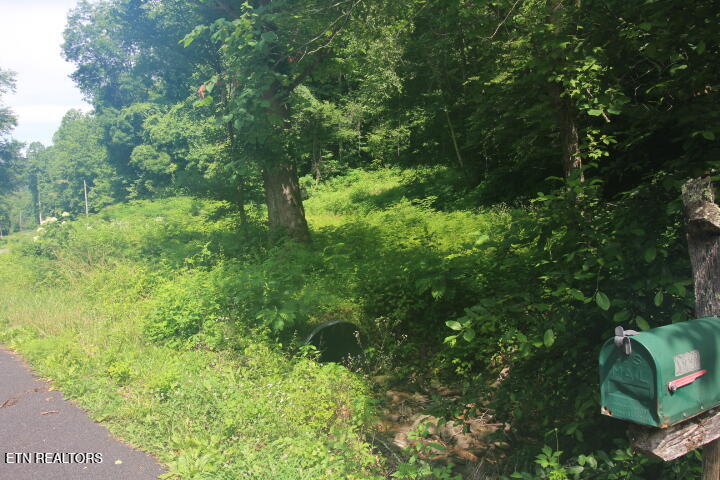 Tbd Lot 1 Carrs Creek Road Townsend TN 37882