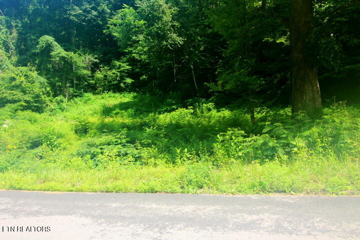 Tbd Lot 1 Carrs Creek Road Townsend TN 37882