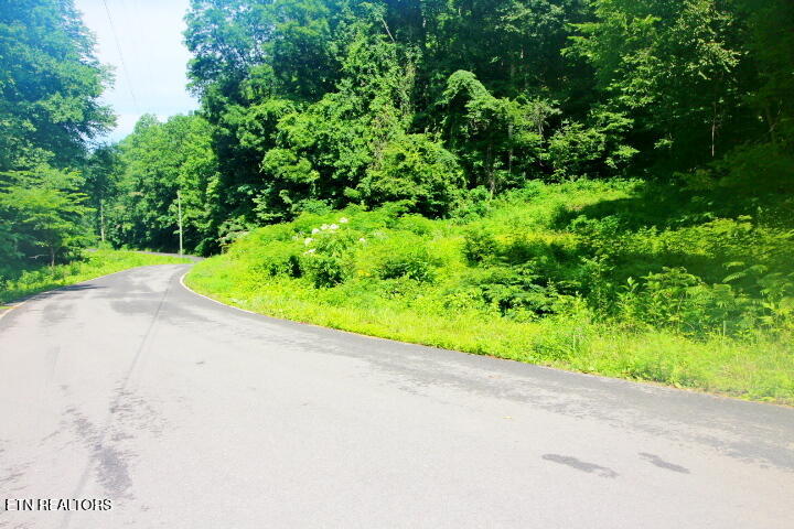 Tbd Lot 1 Carrs Creek Road Townsend TN 37882