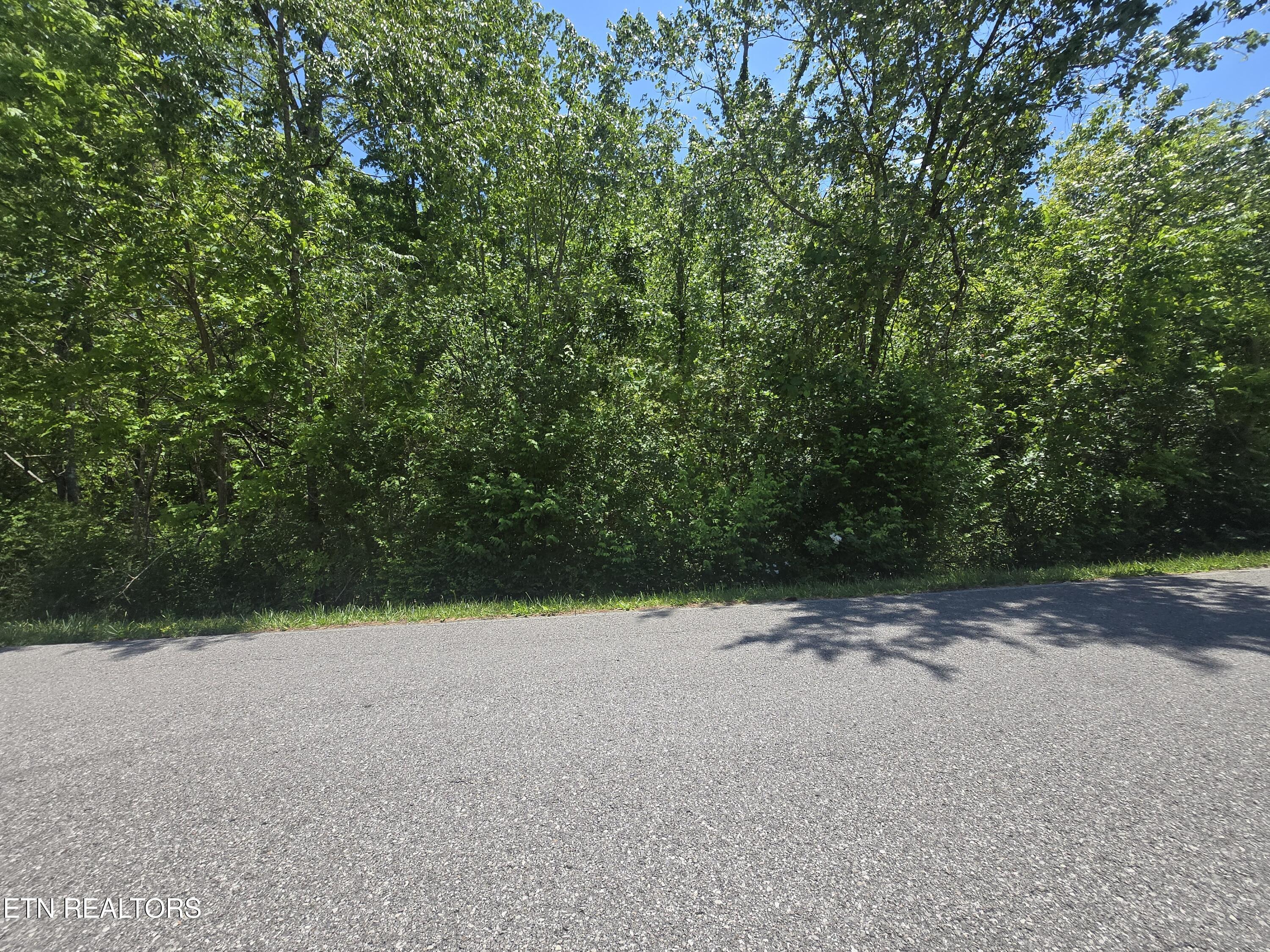 Brookhaven Drive Crossville TN 38555