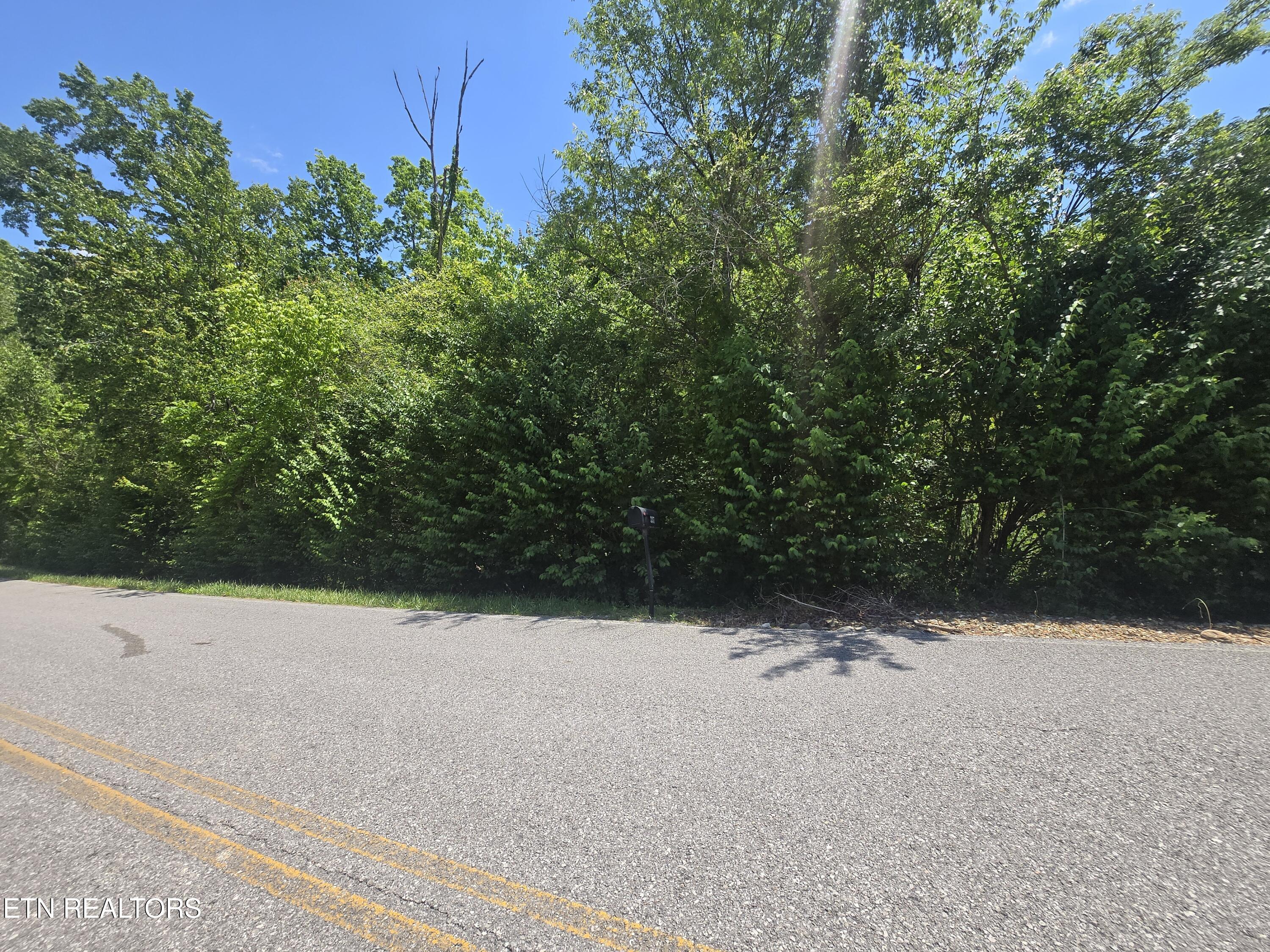 Brookhaven Drive Crossville TN 38555