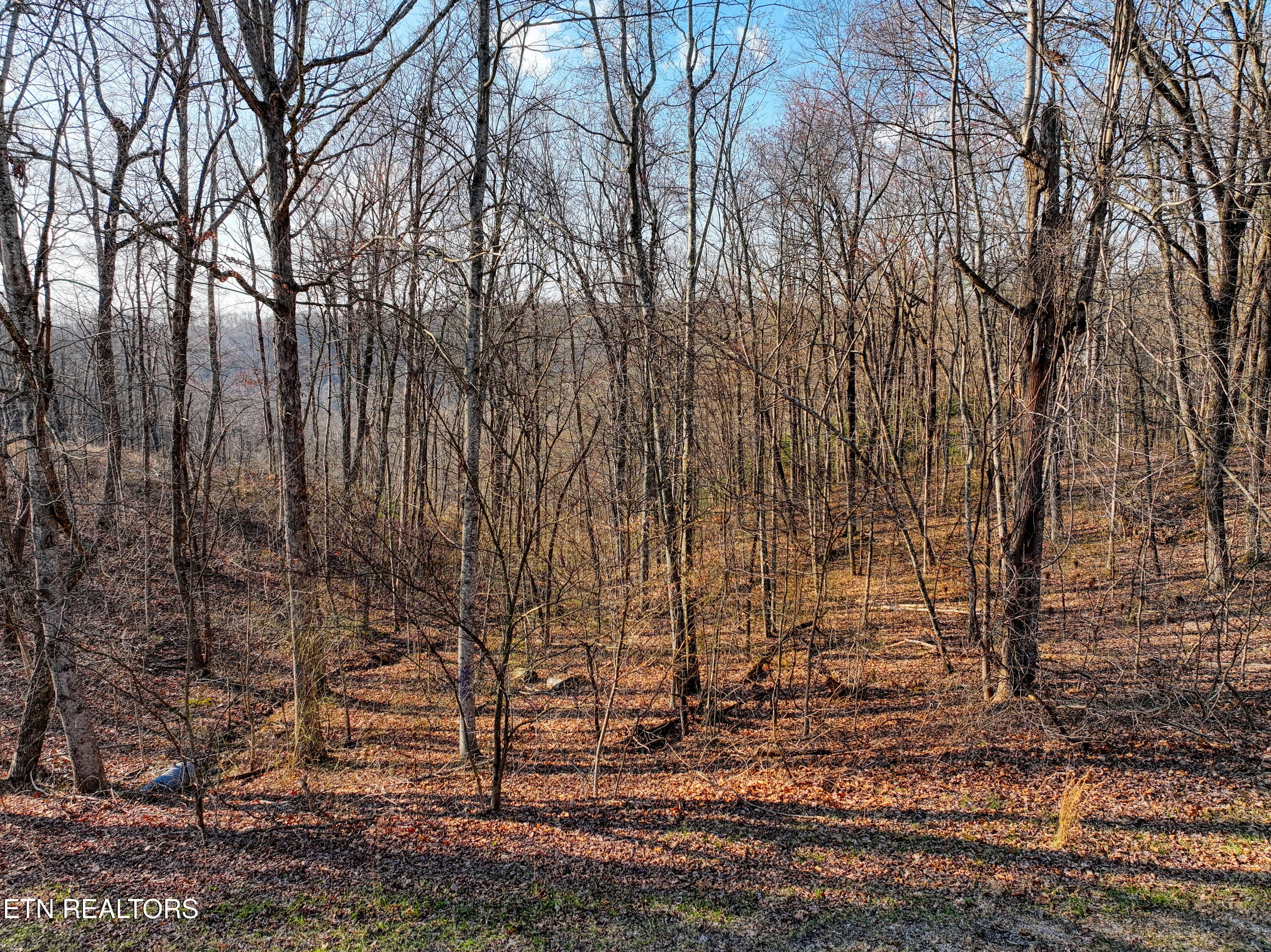 616 Cumberland Cove Road Monterey TN 38574
