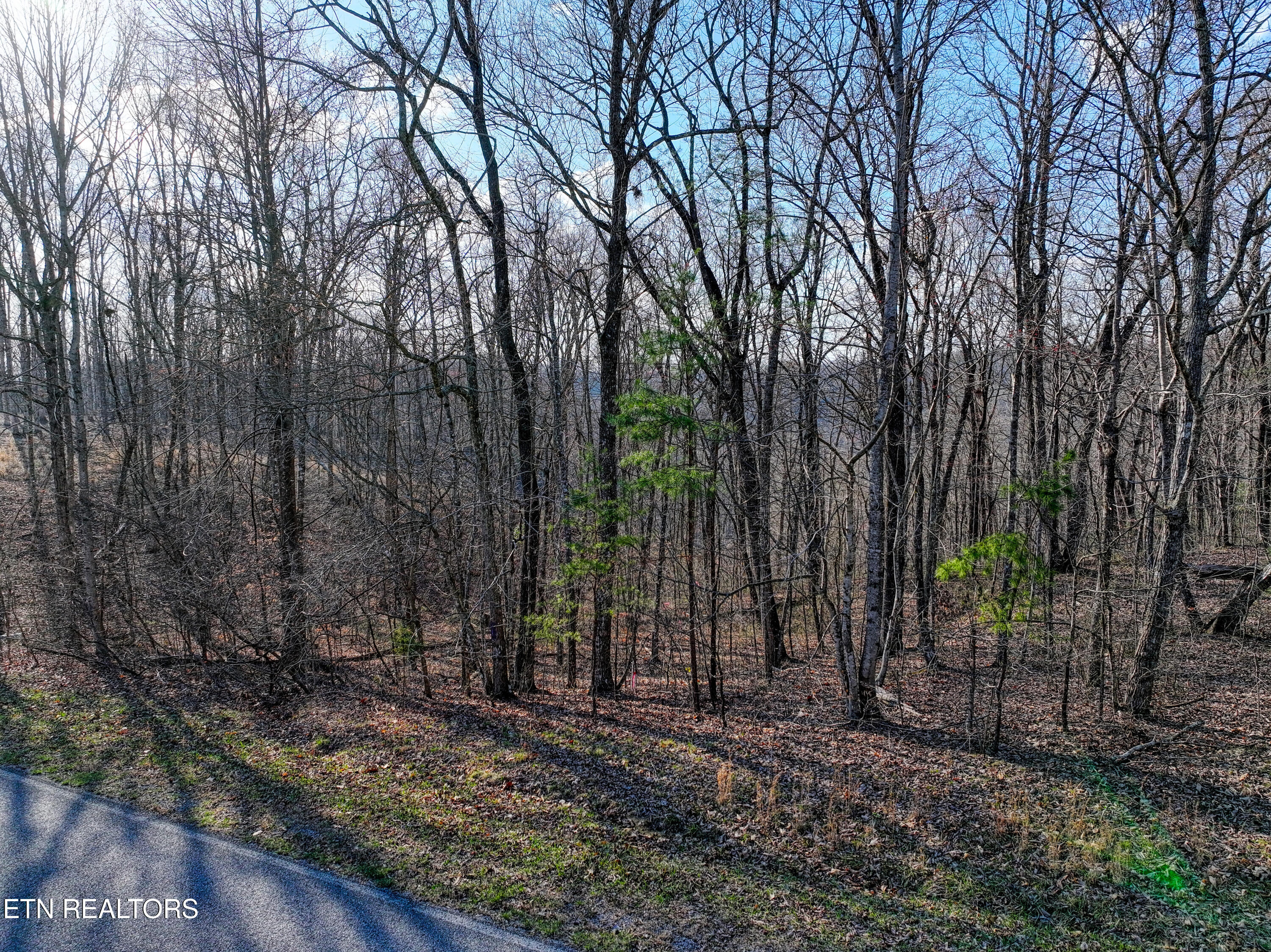 616 Cumberland Cove Road Monterey TN 38574