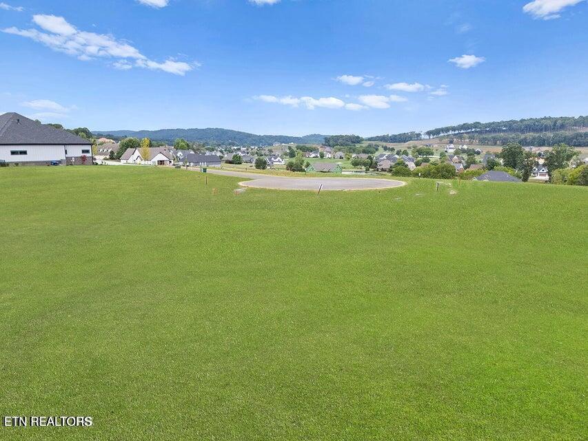 532 Ladybug Lane Loudon TN 37774
