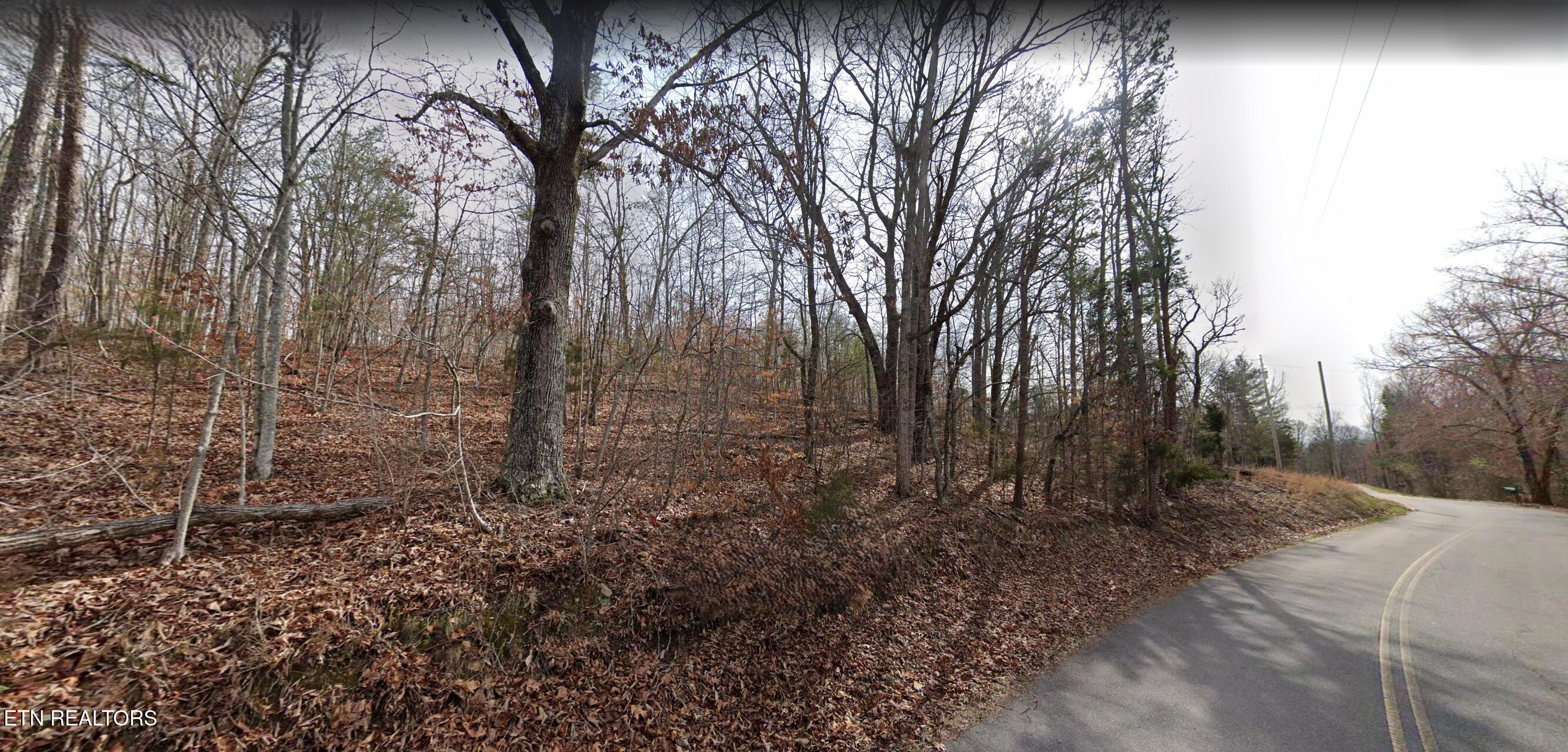 High Ridge Road Kingston TN 37763