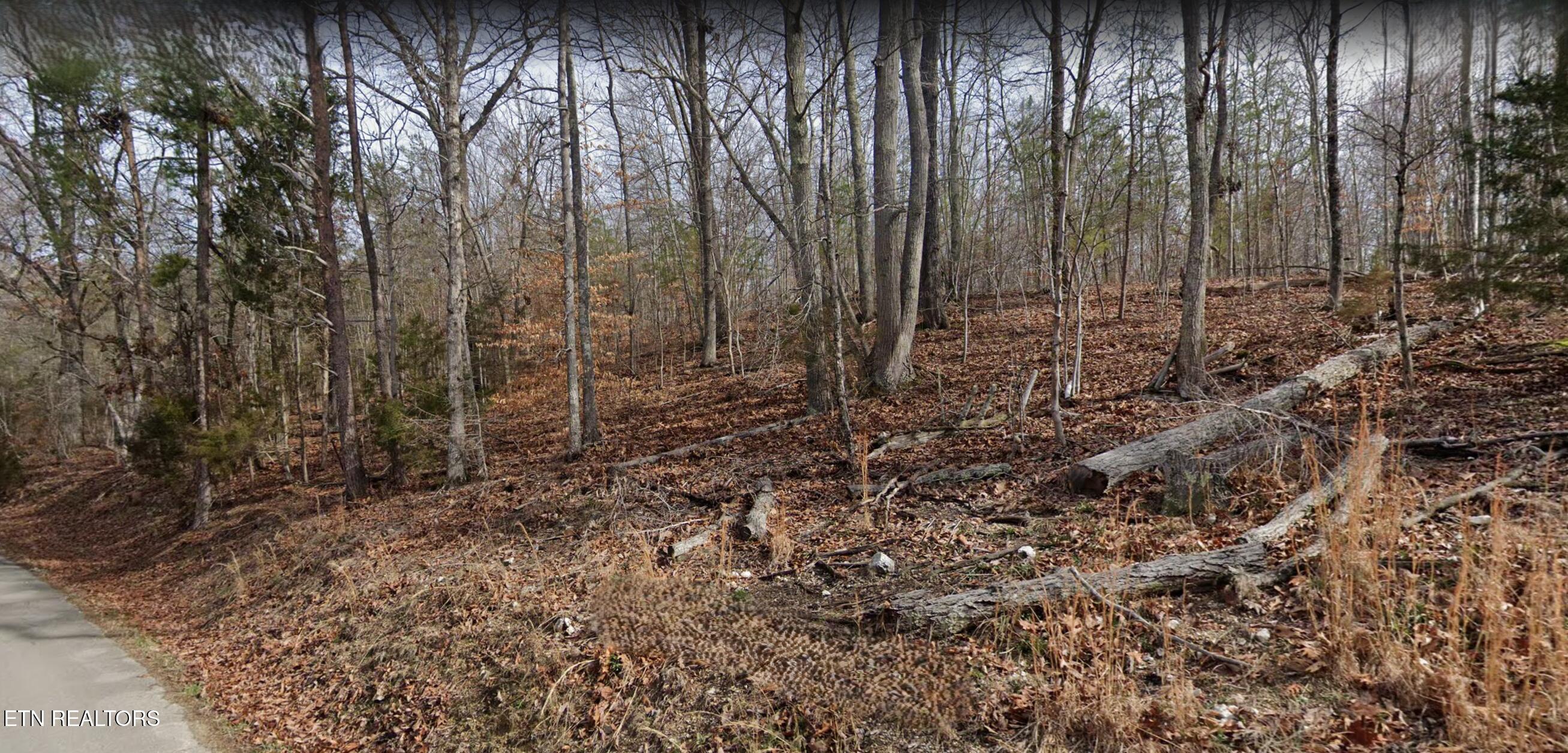 High Ridge Road Kingston TN 37763