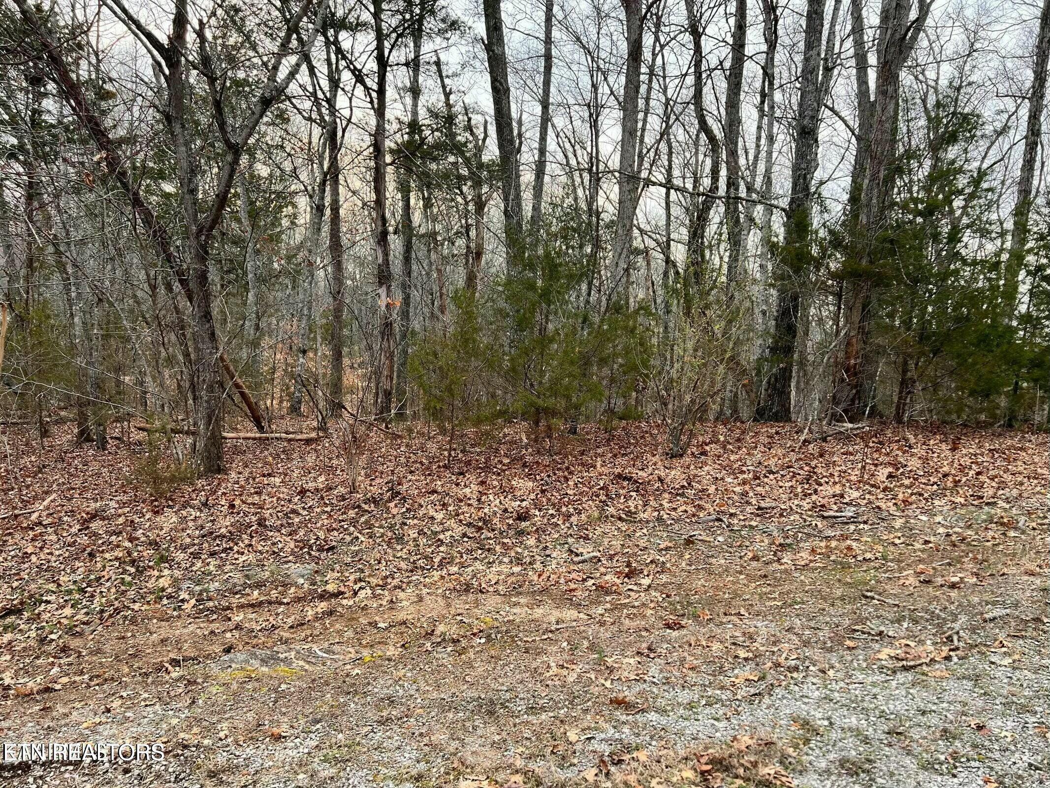 100 Odali Lane Loudon TN 37774