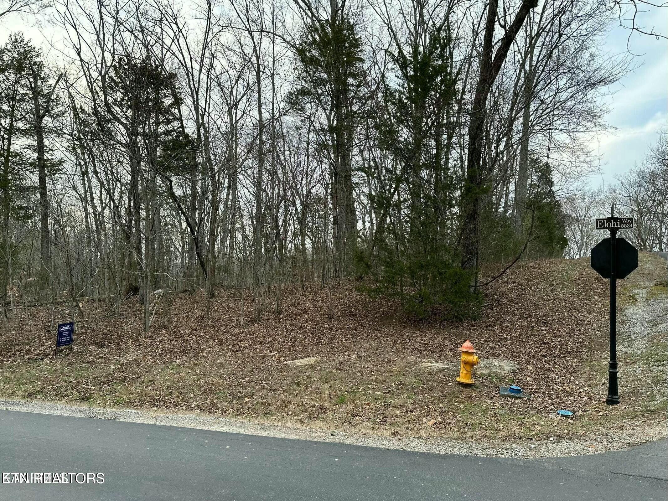 100 Odali Lane Loudon TN 37774