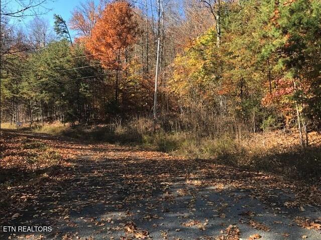 Lot 122 Settlers Point New Tazewell TN 37825